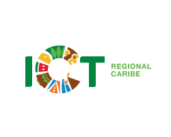 Oficina Regional Caribe Sur